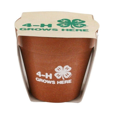 Grow Your Own Clovers Kit - Shop 4-H