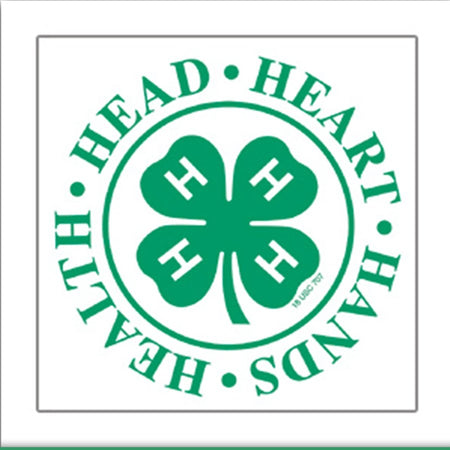 Head Heart Hands Health Temporary Tattoo (Pack of 10) – Shop 4-H