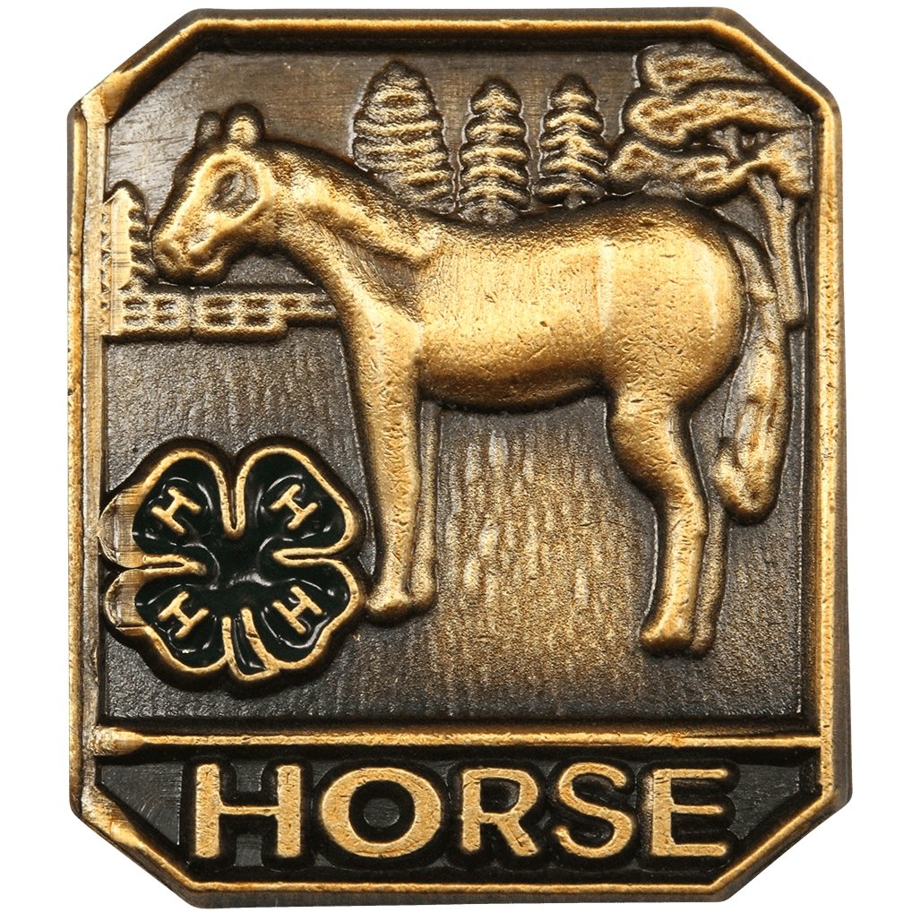 Horse 4-H Pin – Shop 4-H