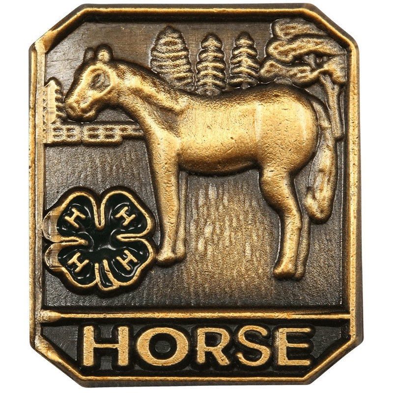 Horse Pin - Shop 4-H