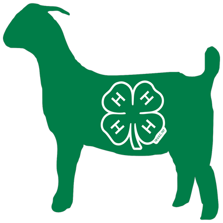 Meat Goat Decal – Shop 4-H