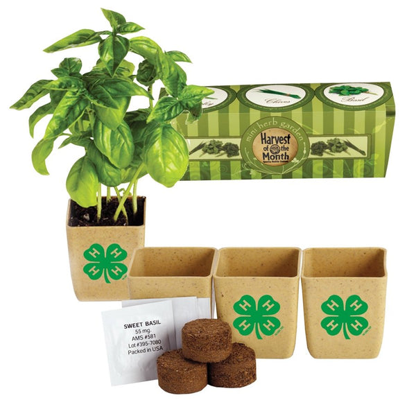 mini-herb-garden-947267_grande