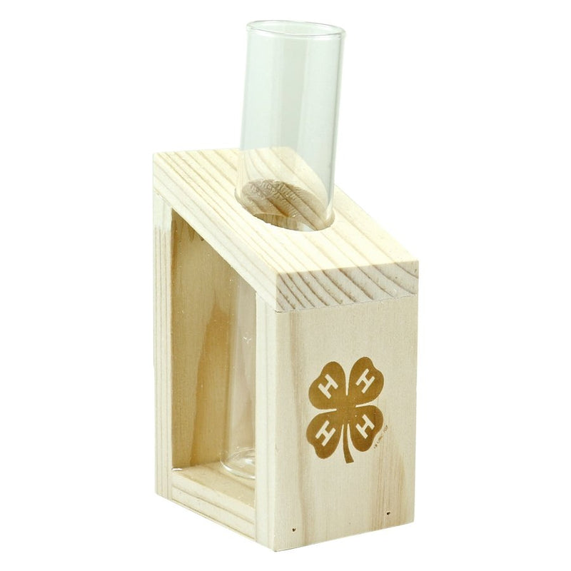 Mini Wood Terrarium with Test Tube Vase - Shop 4-H