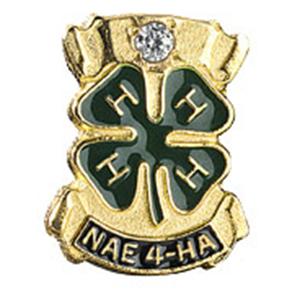 NAE4-HA Diamond Pin - Shop 4-H
