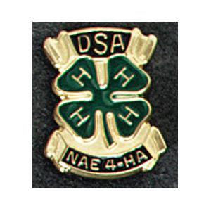 NAE4-HA DSA Recognition Pin - Shop 4-H