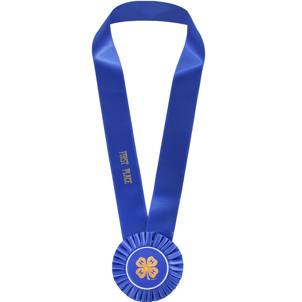 Neck Ribbon - Minimum Order of 6 – Shop 4-H