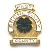 Past County Secretary Pin - Shop 4-H