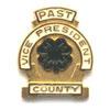 Past County Vice President Pin - Shop 4-H
