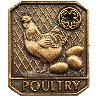 Poultry Pin - Shop 4-H