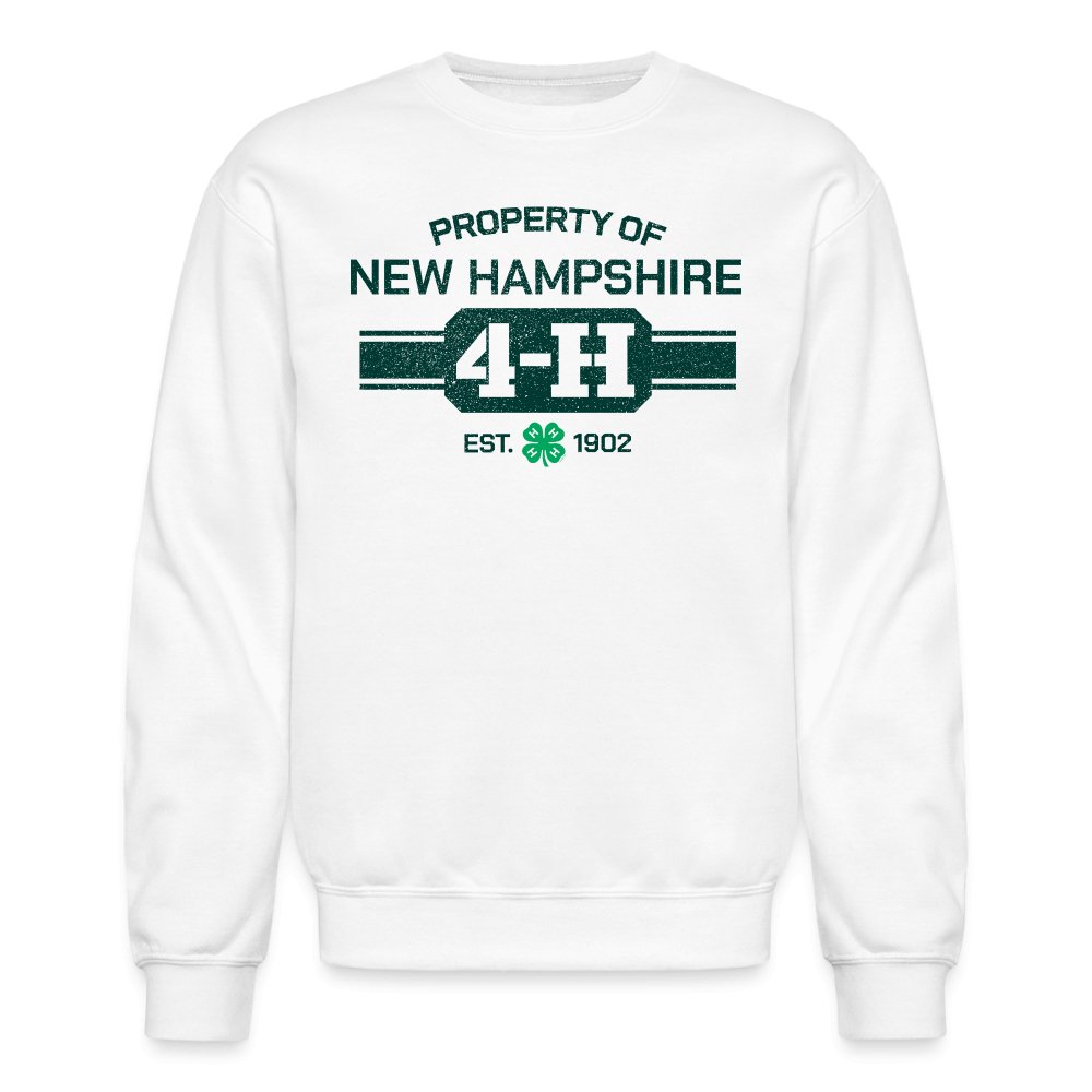 New hampshire crewneck discount sweatshirt