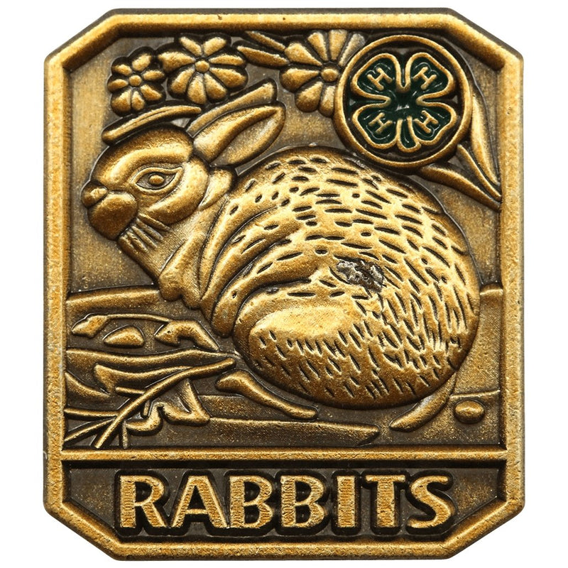 Rabbits Pin - Shop 4-H