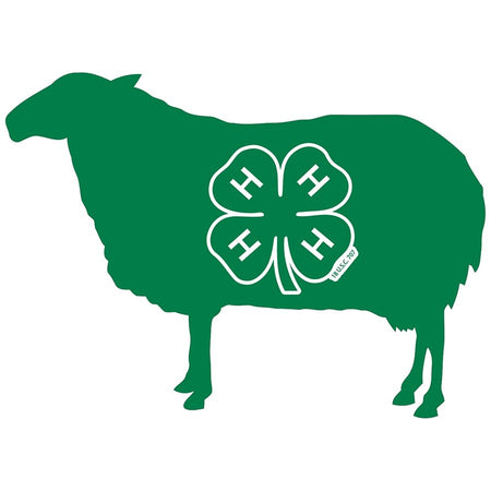 Sheep Decal – Shop 4-H