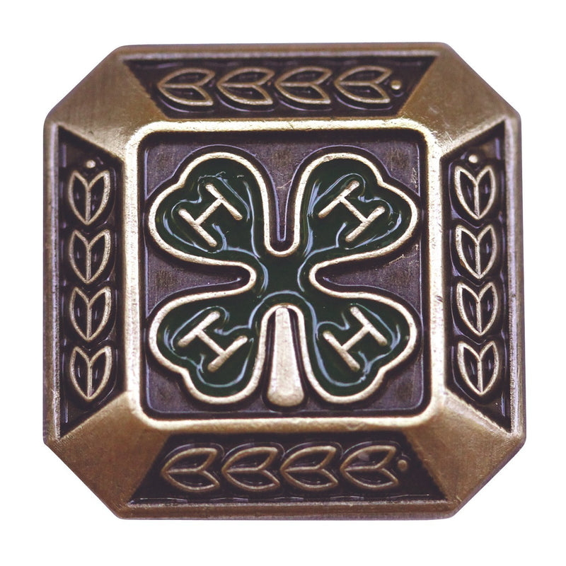 Standard Bronze Pin - Shop 4-H