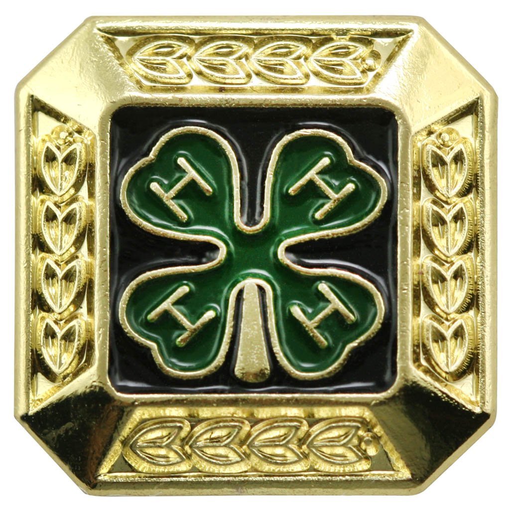 Gold Square Pin Standard Gold Pin – Shop 4-H