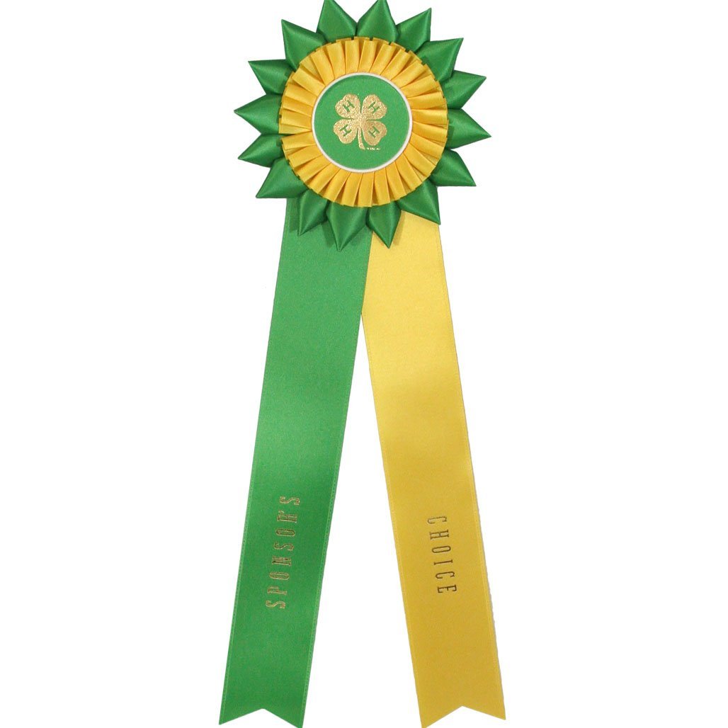 Starburst Double Streamer Ribbon - Min Qty of 6 – Shop 4-H