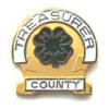Treasurer County Pin - Shop 4-H